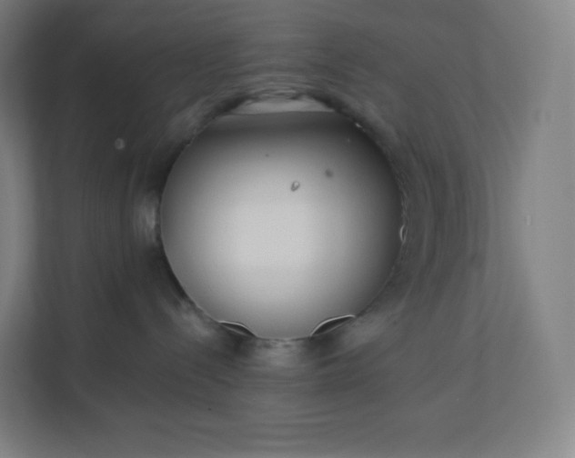 X0000112160288200908211440