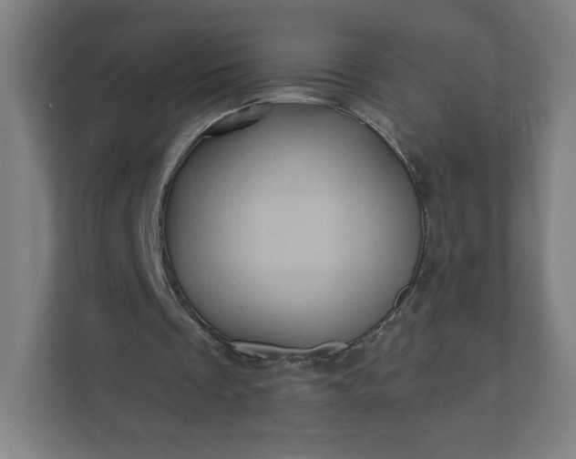 X0000112160289200908211440