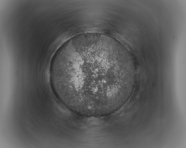 X0000112160290200908211440