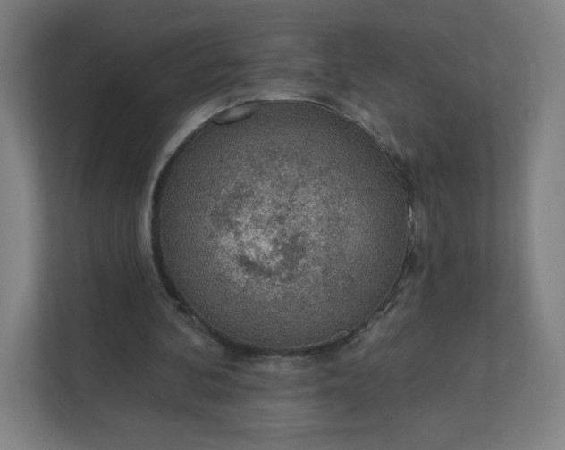 X0000112160292200908211440