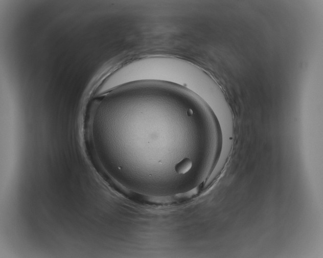 X0000112160293200908211440