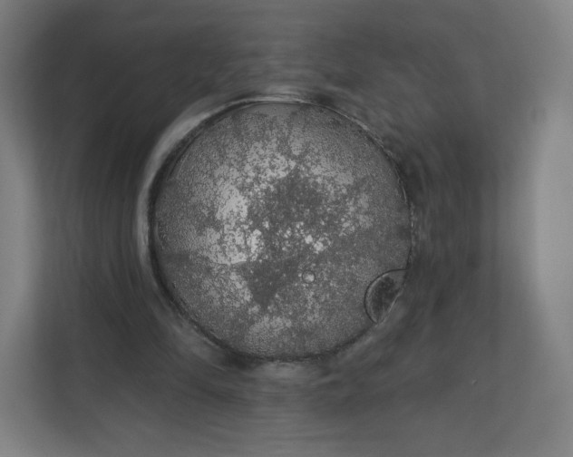 X0000112160294200908211440