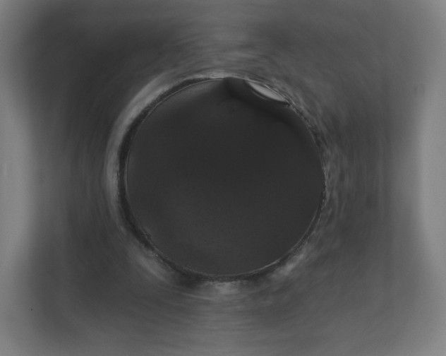 X0000112160295200908211440