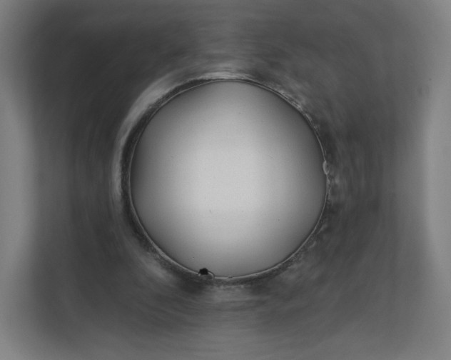 X0000112160296200908211440