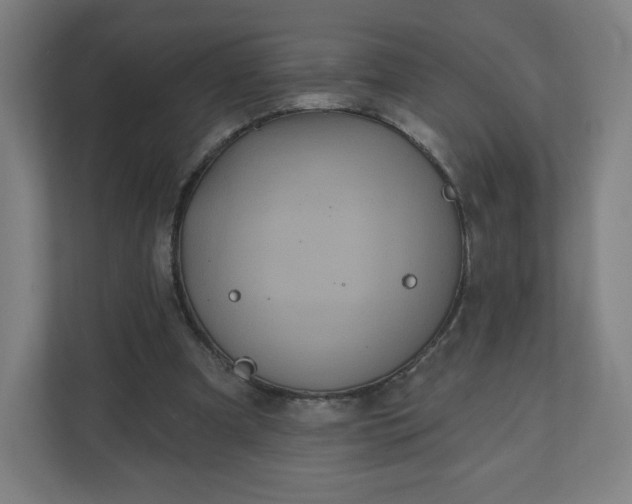 X0000112160297200908211440