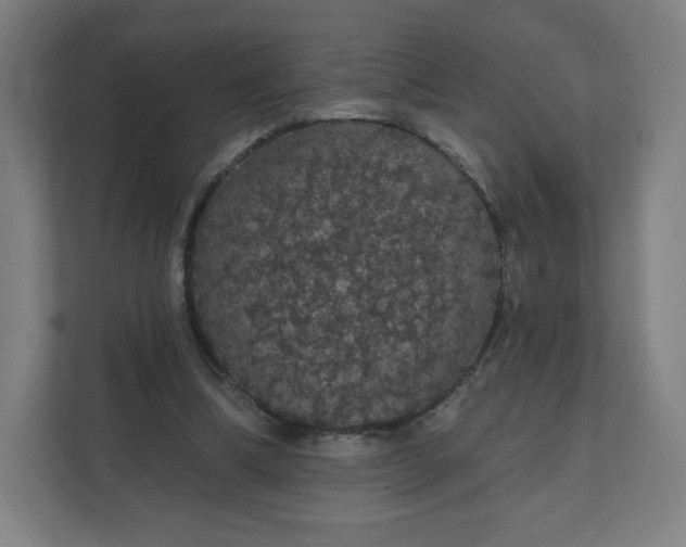 X0000112160298200908211440