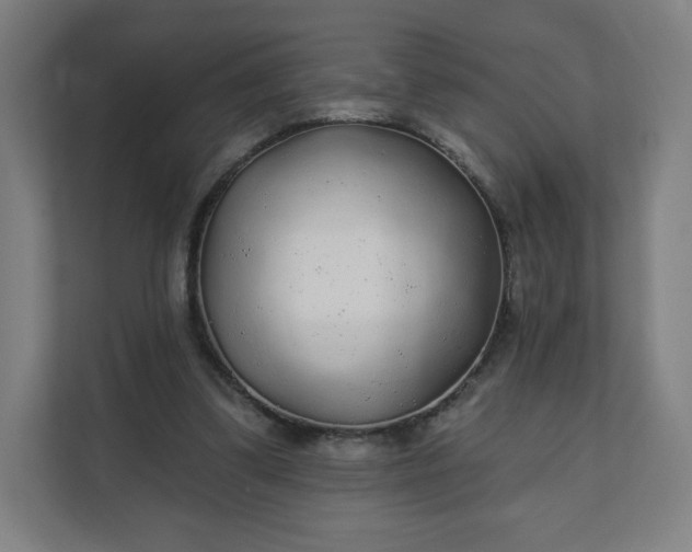 X0000112160299200908211440