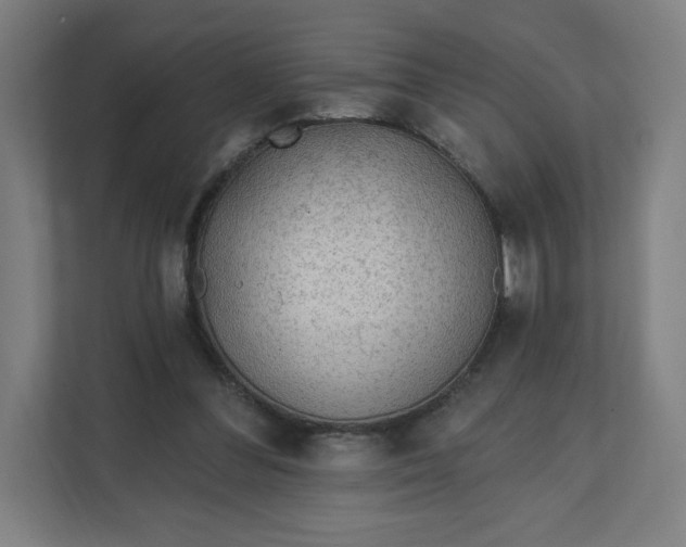 X0000112160300200908211440