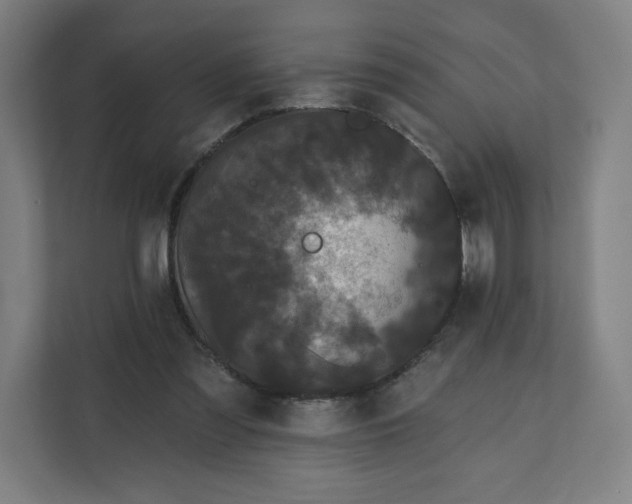 X0000112160301200908211440