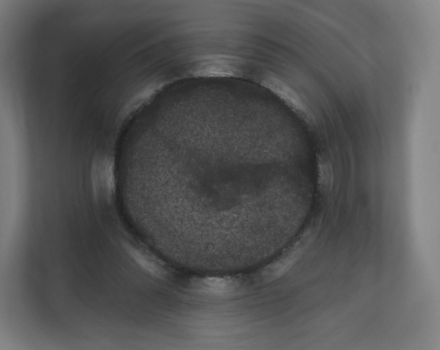 X0000112160302200908211439