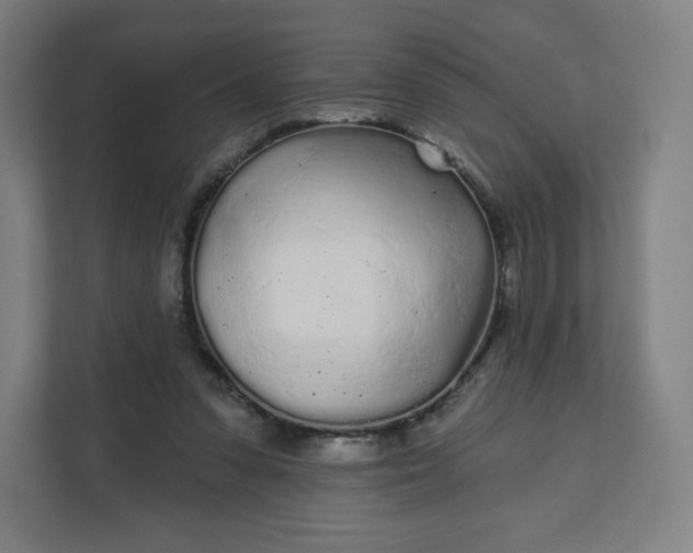 X0000112160303200908211439