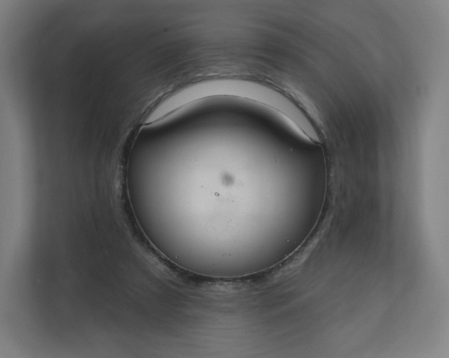 X0000112160305200908211439