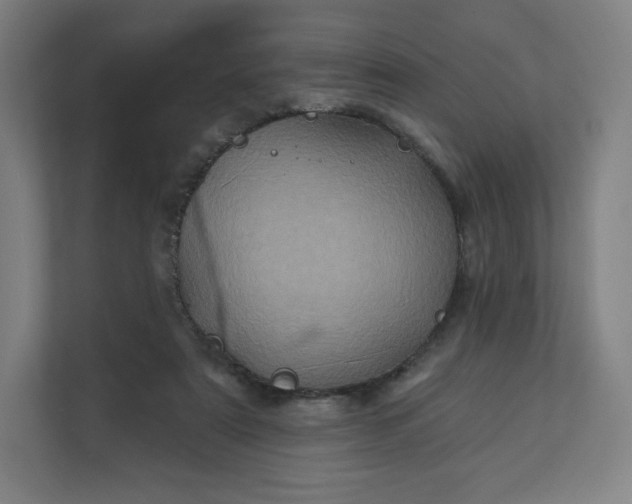 X0000112160307200908211439