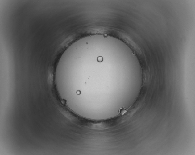 X0000112160309200908211439