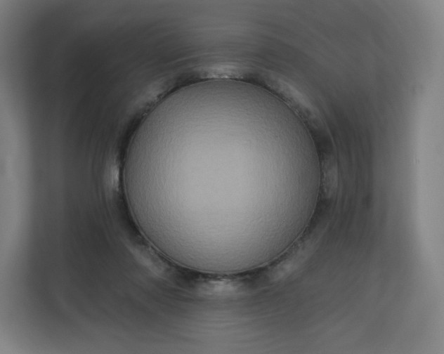 X0000112160310200908211439