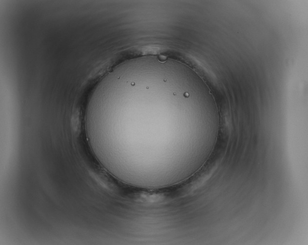 X0000112160311200908211439