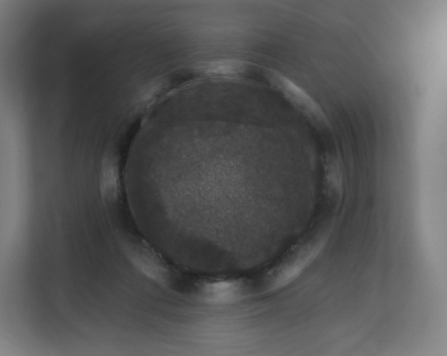 X0000112160312200908211439