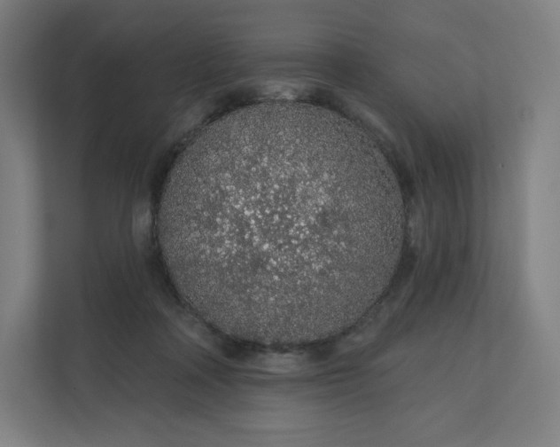 X0000112160314200908211439