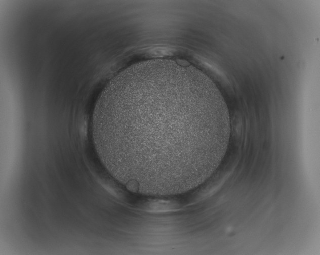 X0000112160315200908211439