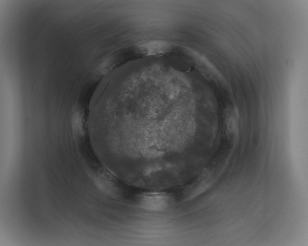 X0000112160316200908211439