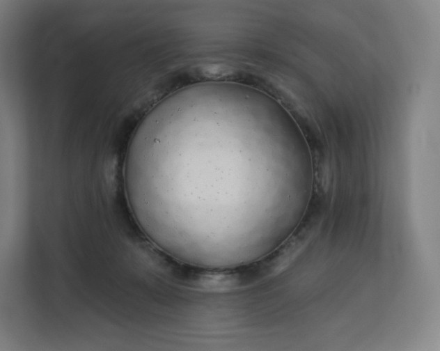 X0000112160319200908211439