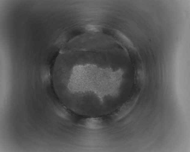 X0000112160320200908211439