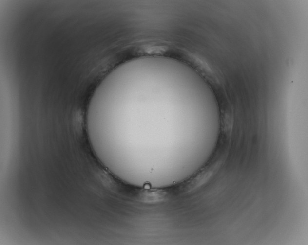 X0000112160321200908211439