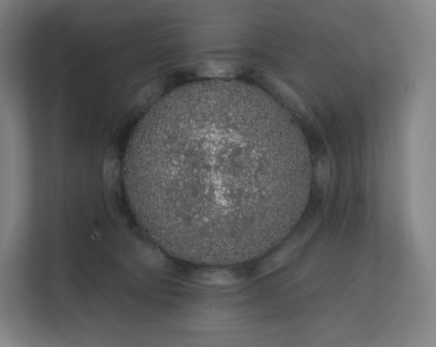 X0000112160322200908211439