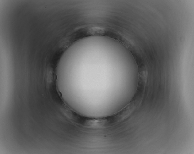 X0000112160323200908211439