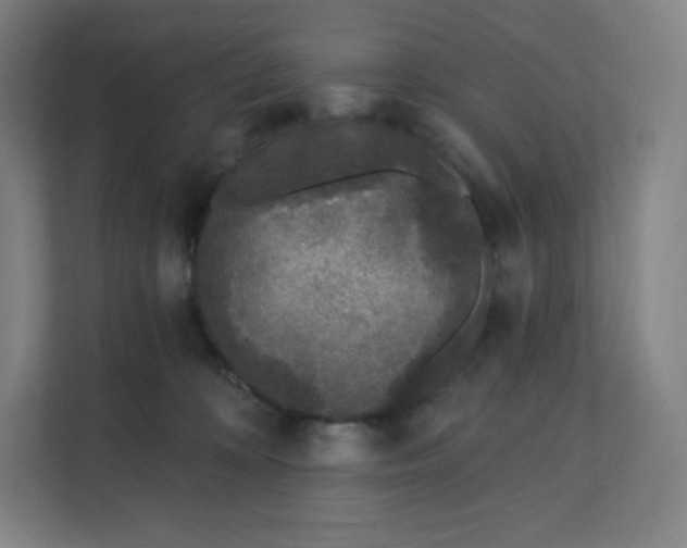 X0000112160324200908211439