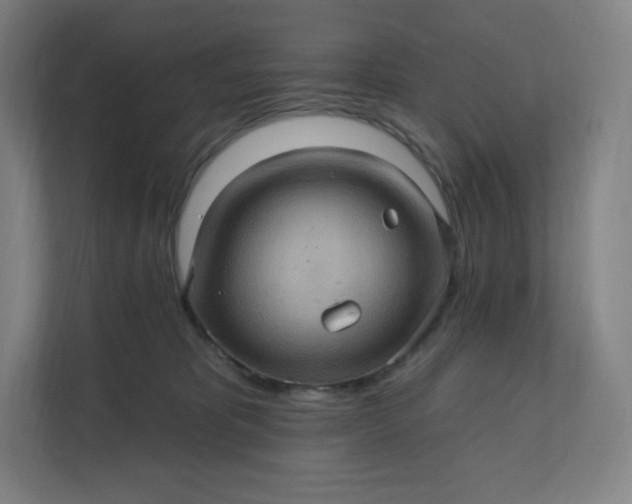 X0000112160325200908211439