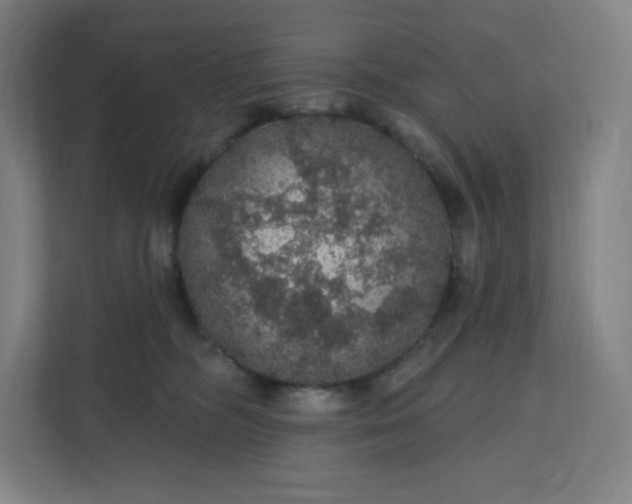 X0000112160326200908211439