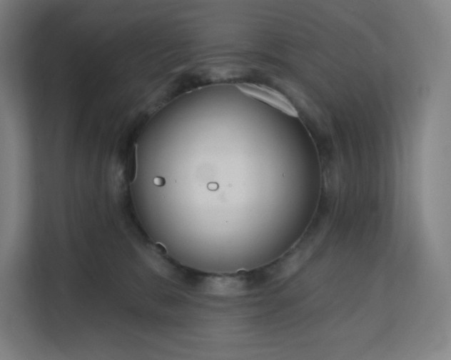 X0000112160327200908211439