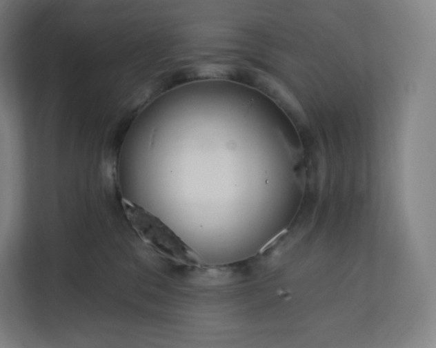 X0000112160329200908211439