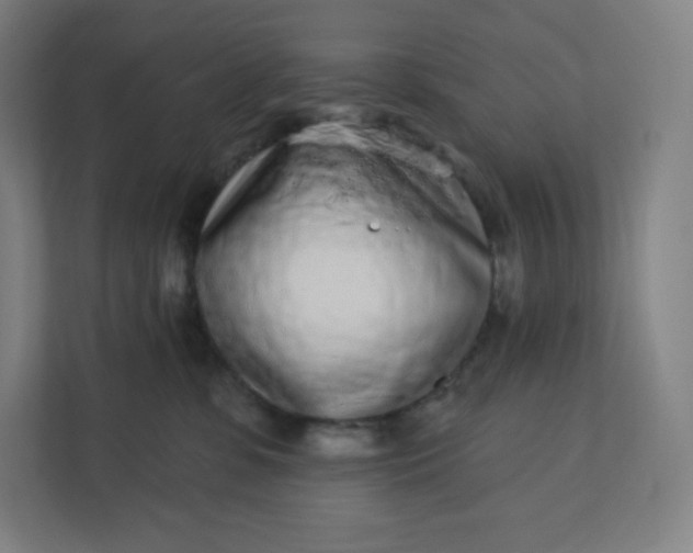 X0000112160331200908211439