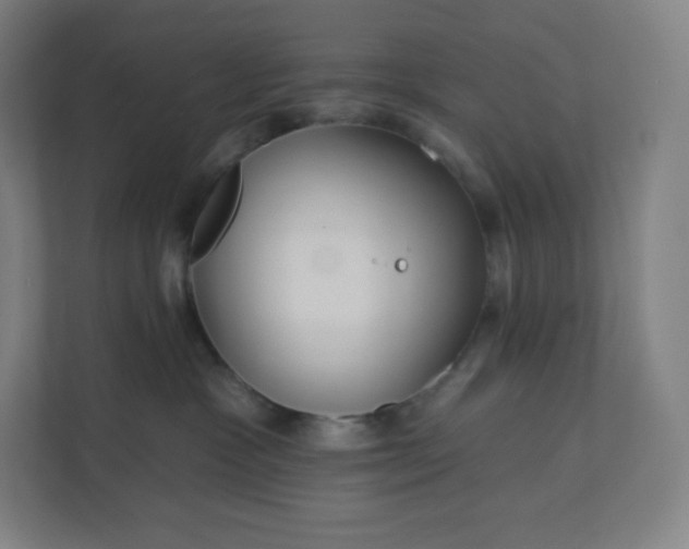 X0000112160333200908211439