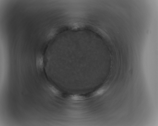 X0000112160336200908211439