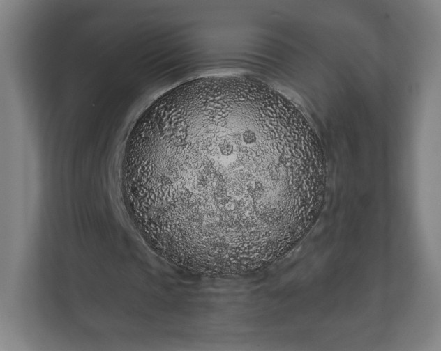 X0000112160337200908211438