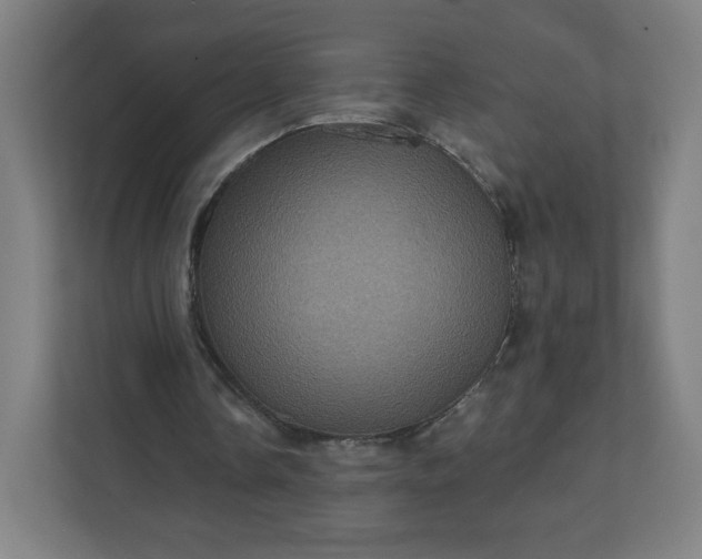 X0000112160338200908211438