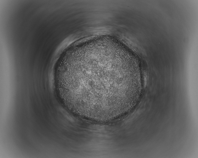 X0000112160339200908211438