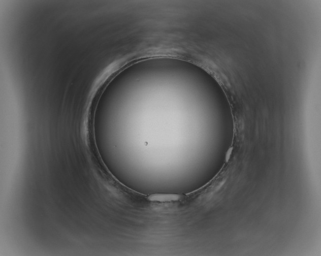 X0000112160340200908211438