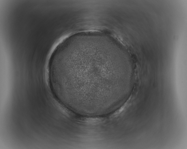 X0000112160342200908211438