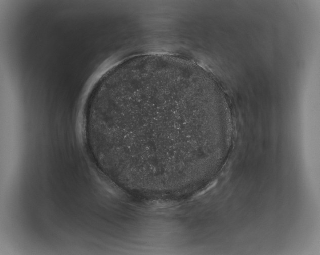 X0000112160343200908211439