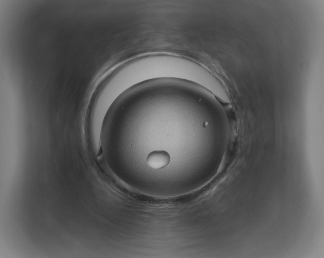 X0000112160344200908211439