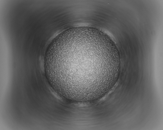 X0000112160345200908211439