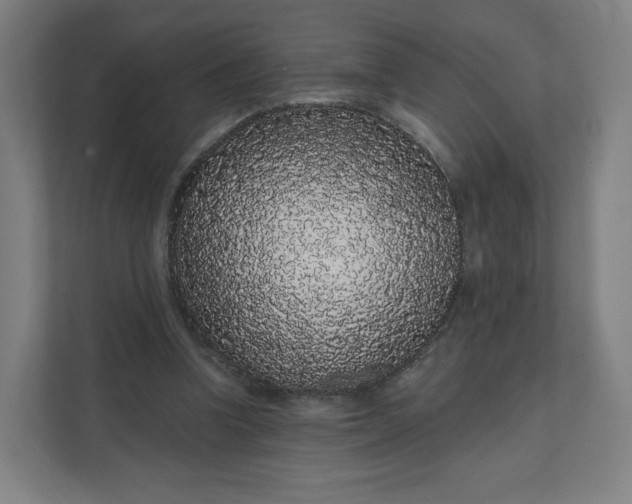 X0000112160346200908211439