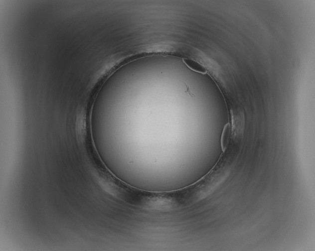 X0000112160348200908211439