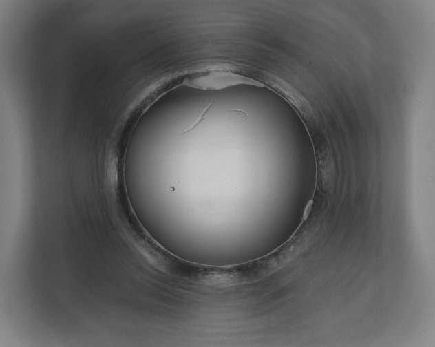 X0000112160350200908211439