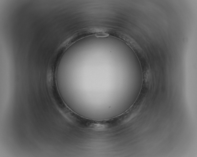 X0000112160352200908211439