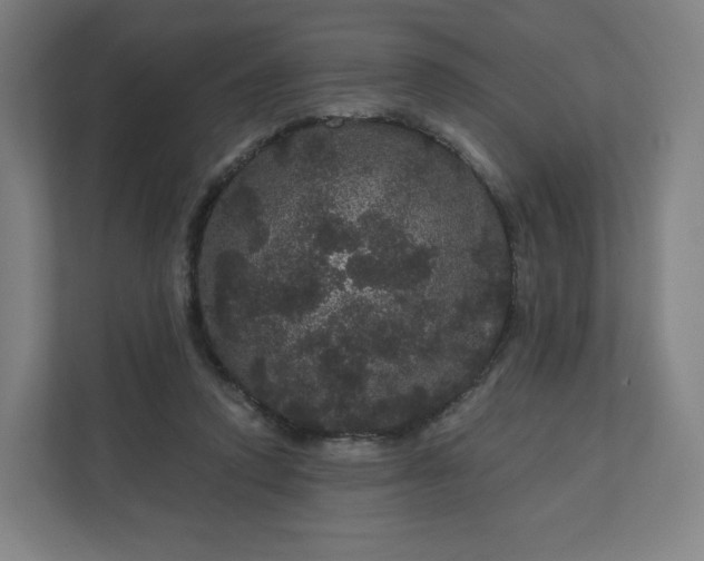 X0000112160354200908211439